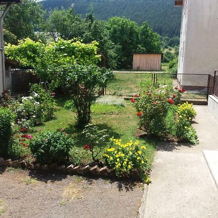 Apartment Hinic Vrhovine Exterior foto